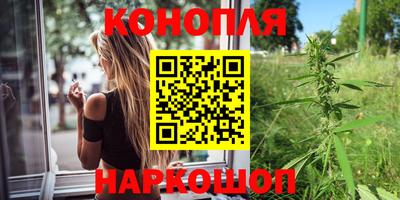 сатива Будённовск