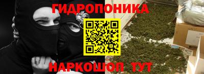 сатива Будённовск