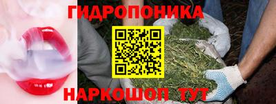 сатива Будённовск