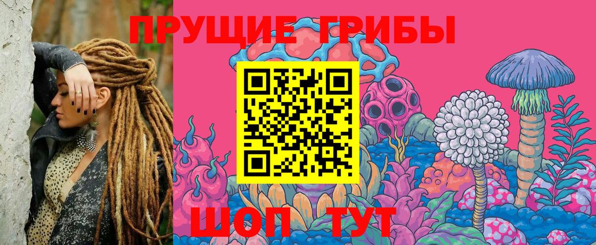 Галлюциногенные грибы GOLDEN TEACHER Сорочинск